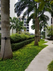 Palm Isles (D17), Condominium #167123682